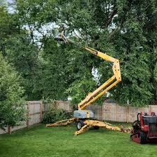 Best Tree Trimming and Pruning  in Canadian, TX